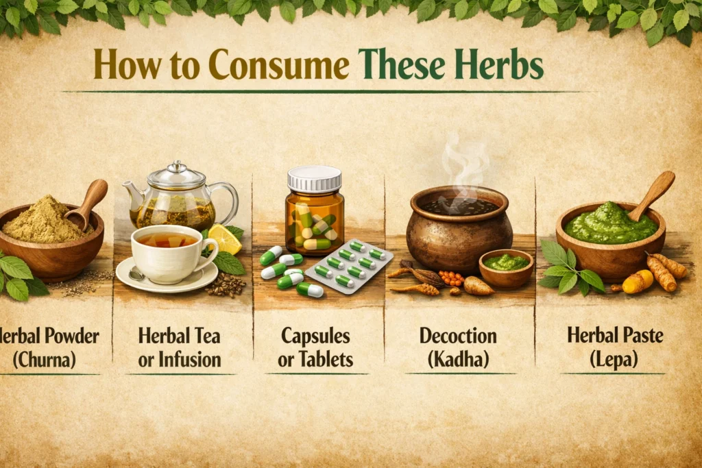 How to Consume These Herbs