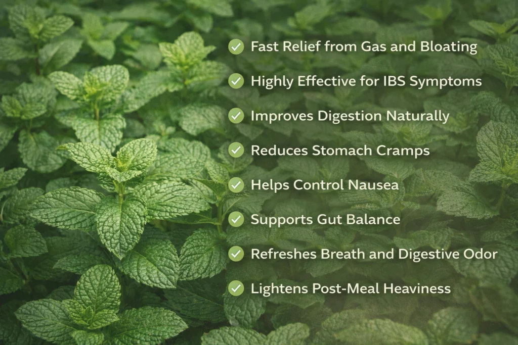 Health Benefits of Peppermint for Digestive Comfort: