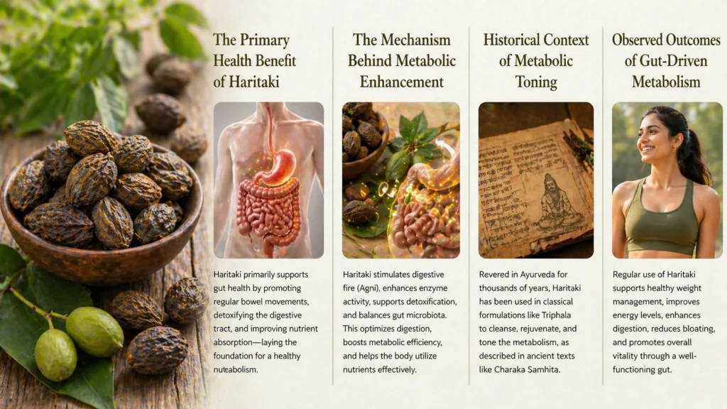 Best Natural Ways to Improve Gut Health and Microbiome