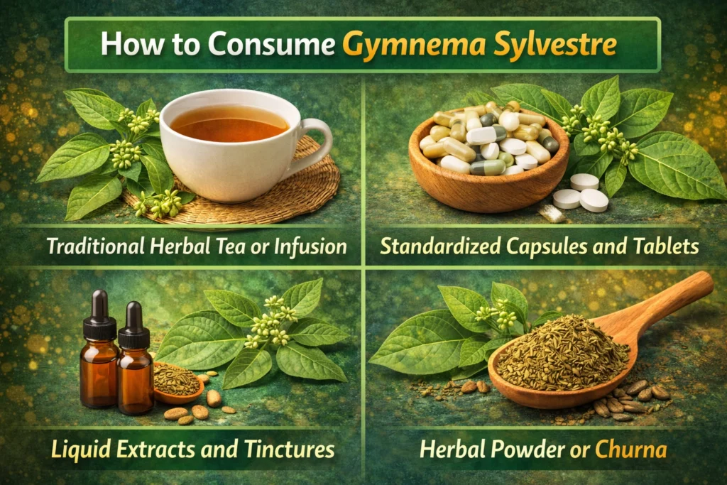 Gymnema Sylvestre shown in different consumption forms including herbal tea, capsules, liquid extract bottle, and powdered churna, representing various natural ways to consume the herb for health benefits