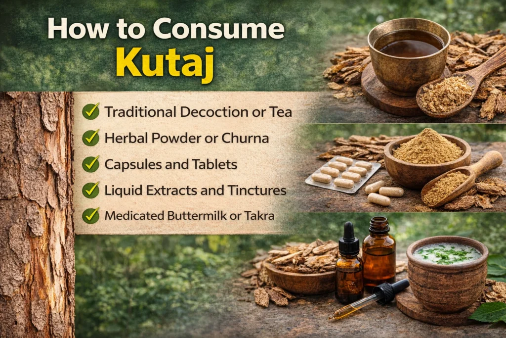 Different ways to consume Kutaj including tea, powder, capsules, liquid extract, and buttermilk in a natural setting